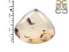 Montana Agate Ring-R-Size-8 MTA-2-98