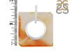 Montana Agate Donut Pendant-SP MTAA-1-97