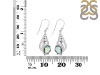 Opal Shell Earring OPL-RUE-49.