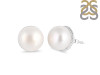 Pearl Stud Earring PAL-RDE-1011.