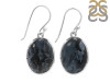 Pietersite Earring-E PIT-3-5