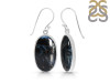 Pietersite Earring-E PIT-3-52