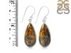 Pietersite Earring-E PIT-3-54