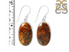 Pietersite Earring-E PIT-3-55