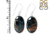Pietersite Earring-E PIT-3-57