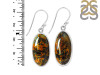 Pietersite Earring-E PIT-3-75
