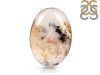 Plume Agate Ring-R-Size-9 PLA-2-22