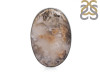 Plume Agate Ring-R-Size-10 PLA-2-46