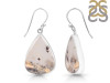 Plume Agate Earring-E PLA-3-1