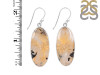 Plume Agate Earring-E PLA-3-11