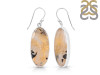 Plume Agate Earring-E PLA-3-11