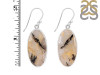 Plume Agate Earring-E PLA-3-13