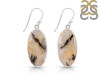 Plume Agate Earring-E PLA-3-13