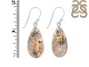 Plume Agate Earring-E PLA-3-15