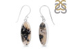 Plume Agate Earring-E PLA-3-17
