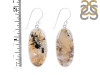Plume Agate Earring-E PLA-3-18