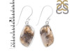 Plume Agate Earring-E PLA-3-22