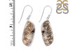 Plume Agate Earring-E PLA-3-27