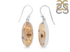 Plume Agate Earring-E PLA-3-28
