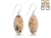 Plume Agate Earring-E PLA-3-3
