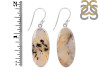 Plume Agate Earring-E PLA-3-37