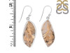 Plume Agate Earring-E PLA-3-38