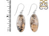 Plume Agate Earring-E PLA-3-39
