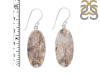 Plume Agate Earring-E PLA-3-4