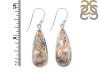Plume Agate Earring-E PLA-3-40