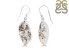 Plume Agate Earring-E PLA-3-41