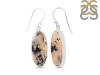 Plume Agate Earring-E PLA-3-43