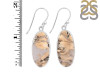 Plume Agate Earring-E PLA-3-7