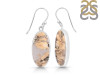 Plume Agate Earring-E PLA-3-7