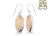 Plume Agate Earring-E PLA-3-8