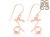 Capricorn Zodiac Earring PS-RDE-1494.