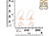 Capricorn Zodiac Earring PS-RDE-1494.