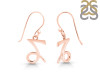 Capricorn Zodiac Earring PS-RDE-1494.