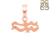 Aquarius Zodiac Plain Silver Jewelry Set PS-RDR-3088/RDE-1496/RDB-180/RDC-18.
