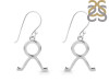 Taurus Zodiac Earring PS-RDE-1498.