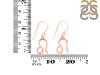 Leo Zodiac Earring PS-RDE-1501.