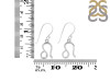 Leo Zodiac Earring PS-RDE-1501.