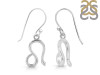 Leo Zodiac Earring PS-RDE-1501.