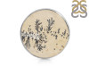 Psilomelane Dendrite Adjustable Ring-ADJ-R PSD-2-82