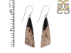 Petrified Wood Earring-E PTF-3-25