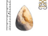 Plumroot Agate Adjustable Ring-ADJ-R PTJ-2-1