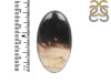Plumroot Agate Adjustable Ring-ADJ-R PTJ-2-12