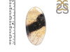 Plumroot Agate Adjustable Ring-ADJ-R PTJ-2-17