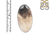 Plumroot Agate Adjustable Ring-ADJ-R PTJ-2-20