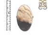 Plumroot Agate Adjustable Ring-ADJ-R PTJ-2-22