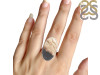 Plumroot Agate Adjustable Ring-ADJ-R PTJ-2-22